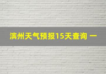 滨州天气预报15天查询 一